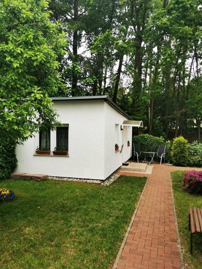 Ferienbungalow Im Igelbau Baabe Esterno foto